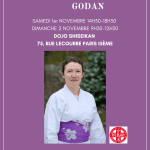 Stage Taiso Bourret Sensei Paris Nov 25
